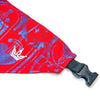 Fairest Heart Pet Bandana